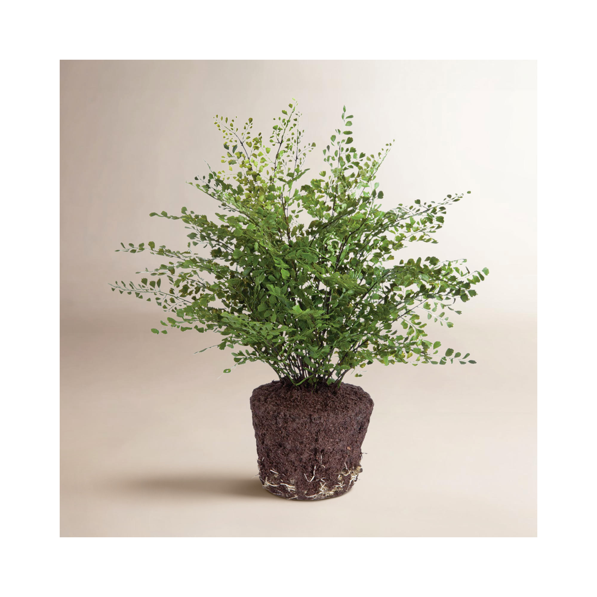 Queensland 18" Artificial Fern Tree