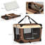 Collapsible Pet Carrier with 3 Doors-81878543-74777166