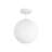 9.8 in. 1-Light Modern Globe Shade Pendant Light