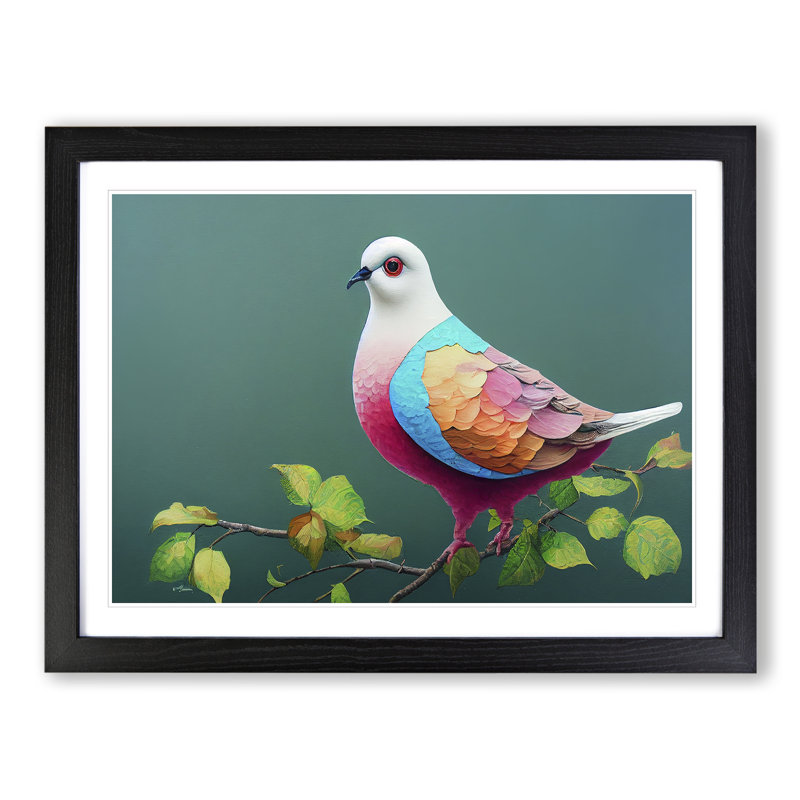 Cosmopolitan Dove Bird - Framed Print, Black Framed, 34cm H x 46cm W x 2cm D