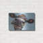 «Cow Cow 2» par Carolee Vitaletti-101656566