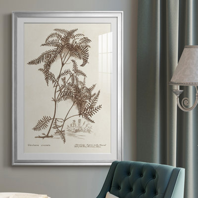 " Sepia Fern Varieties III "