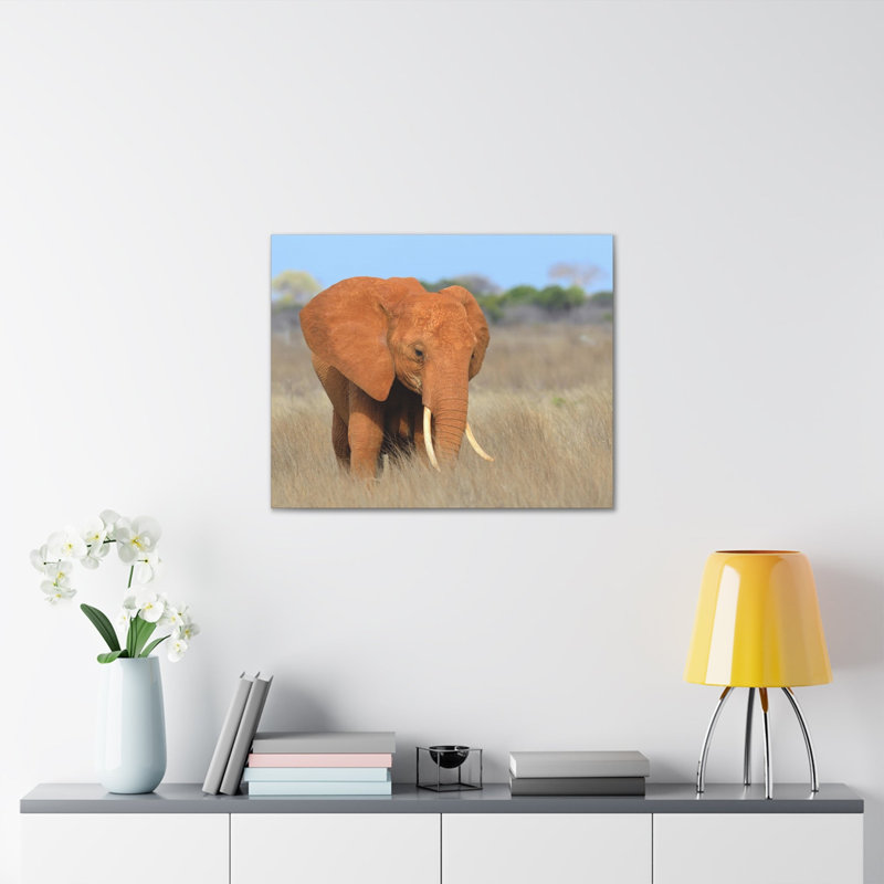 No Frame Print on Canvas, 27.94cm H x 35.56cm W