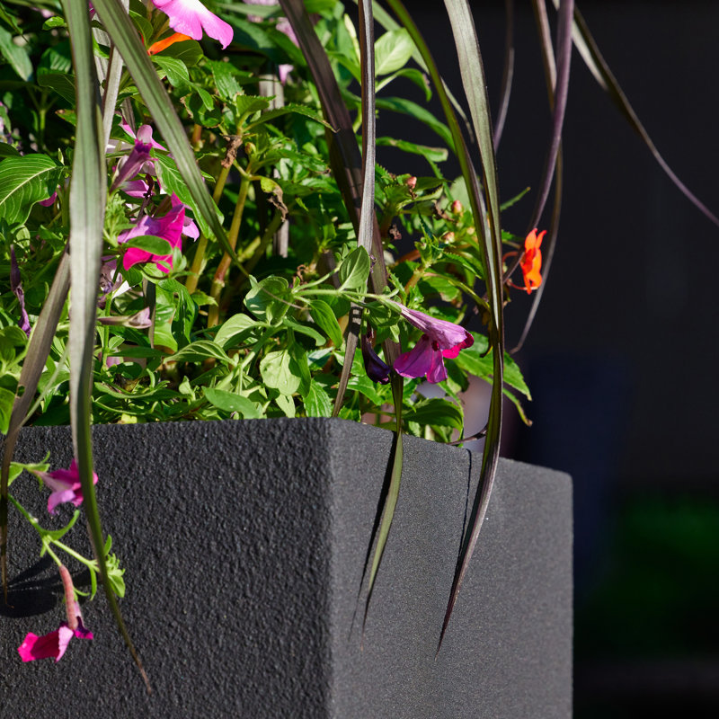 Argentine Trough Planter, Black