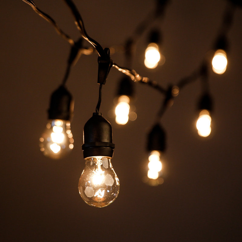 Outdoor 50 - Bulb 100'' Plug-in String Light