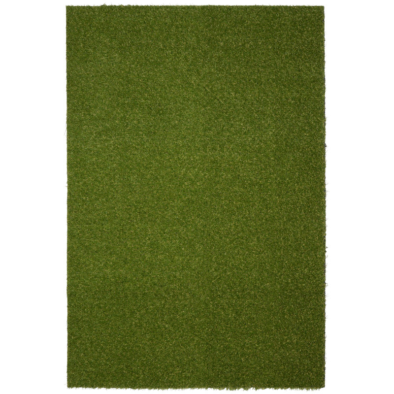 Obadiah Indoor / Outdoor Rug, Rectangle 5' x 7'