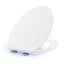 Lumiére Elongated Toilet Seat