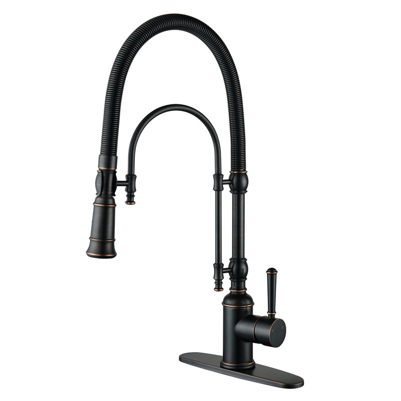 Oil-Rubbed Bronze High-Arc Kitchen Faucet with Pull-out Spray