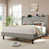 Light Gray