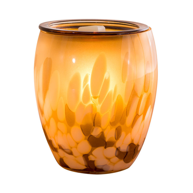 https://assets.wfcdn.com/im/71010137/resize-h755-w755%5Ecompr-r85/2612/261265343/Scentsationals+Fantasy+Scented+Wax+Warmer+Collection.jpg