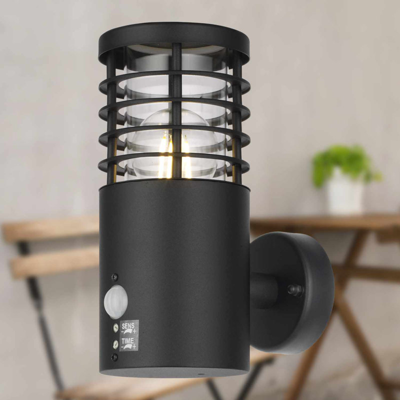 Birchview 22.2cm H Outdoor Sconce