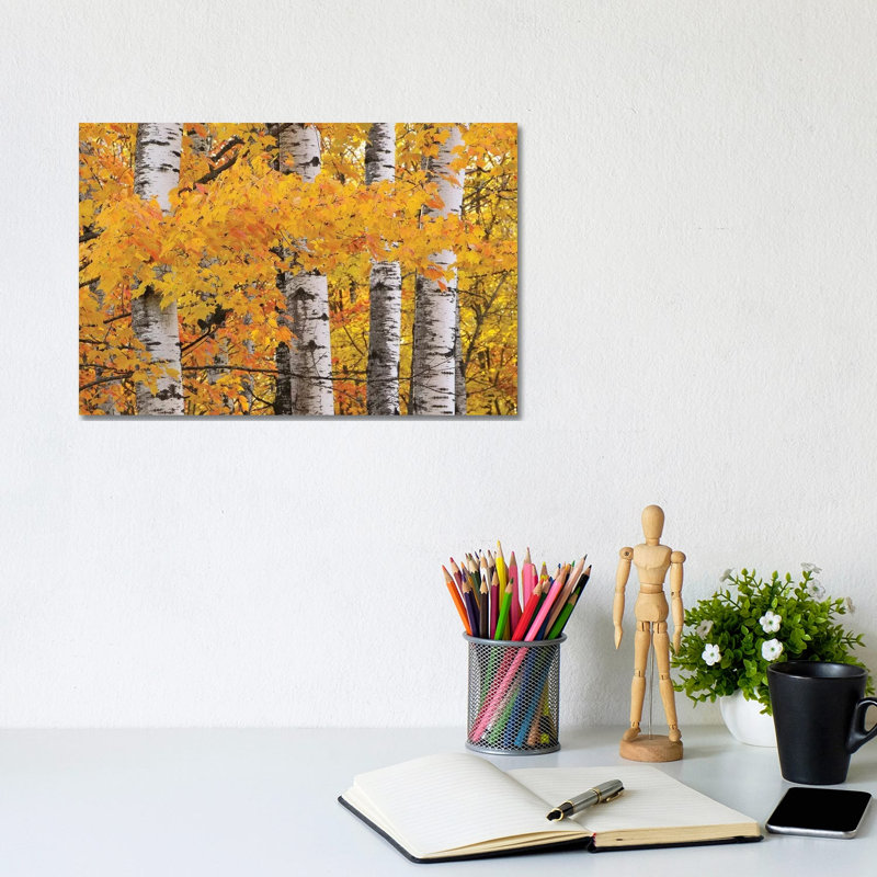 Yellow Maples And Birches by Brian Wolf - Wrapped Canvas Gallery-Wrapped Canvas Giclée, 20.32cm H x 30.48cm W
