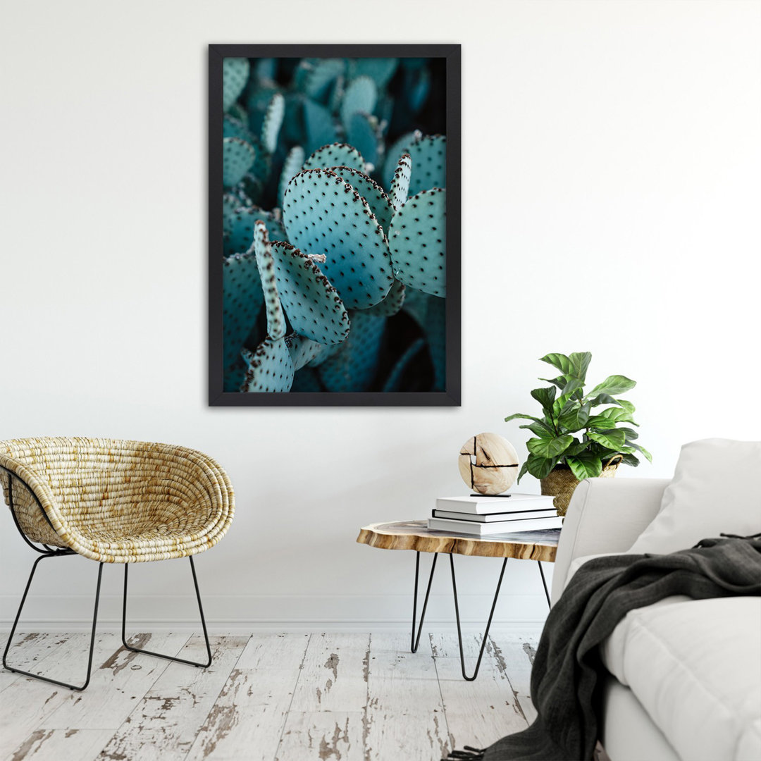 Gerahmtes Poster Exotic Cactus