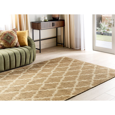 Dianny Geometric Hand Woven Area Rug
