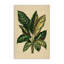 Toile de feuilles tropicales à feuilles vertes, design par Petal Prints Design-1931813522