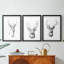 Young Buck S croquis I - reproduction sur mesure encadrée de qualité supérieure - 3 pièces-1413041672-1413041686