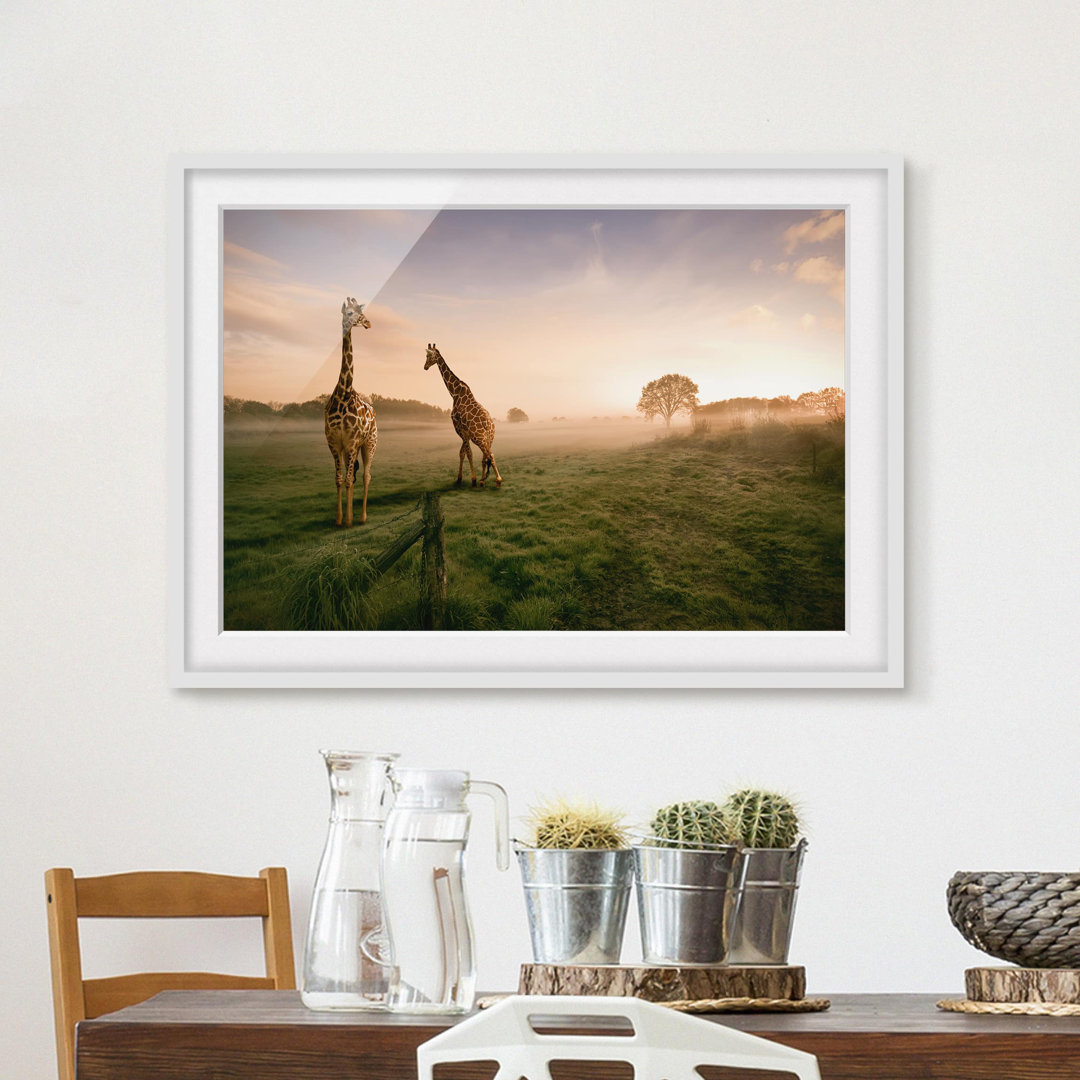 Gerahmter Fotodruck Surreal Giraffes