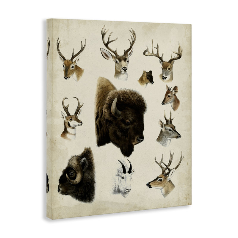 Art mural sur toile Buffalo & Elks Woodland, H 20 po x l 16 po