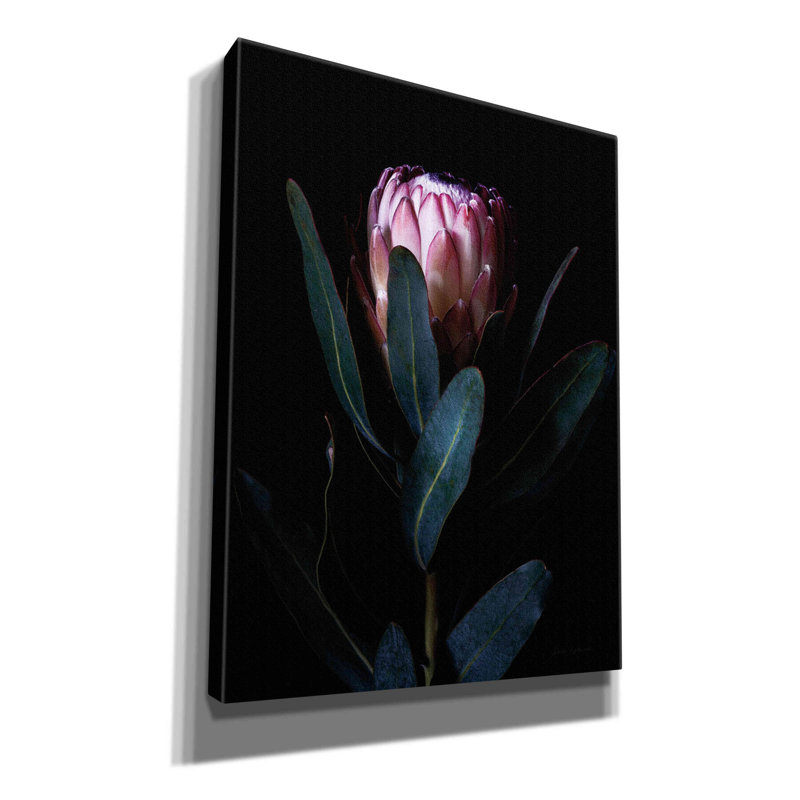 «Protea Portrait on Canvas» par Elise Catterall, reproduction, H 16 po x l 12 po x P 0,75 po