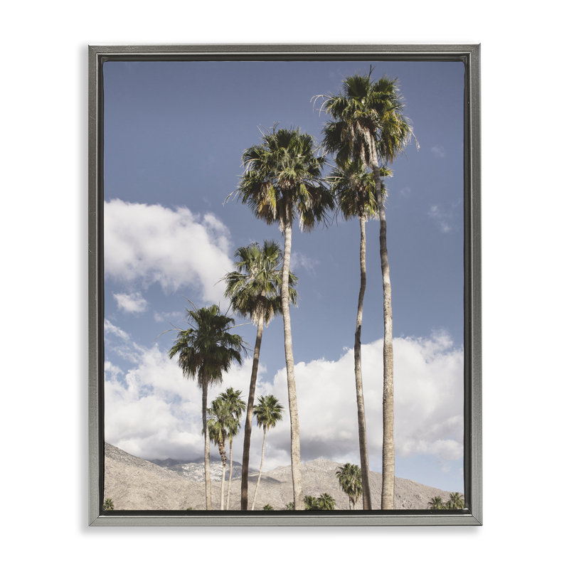 Cadre flottant Palm Springs, dessiné par Danita Delimont, H 31 po x l 25 po, Cadre flottant gris lustré