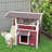 Indoor / Outdoor Cat House-1000820359