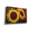 «Tournesol 1» par Art Licensing Studio, art mural sur toile