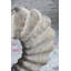 Hennessey Circle Table Accent