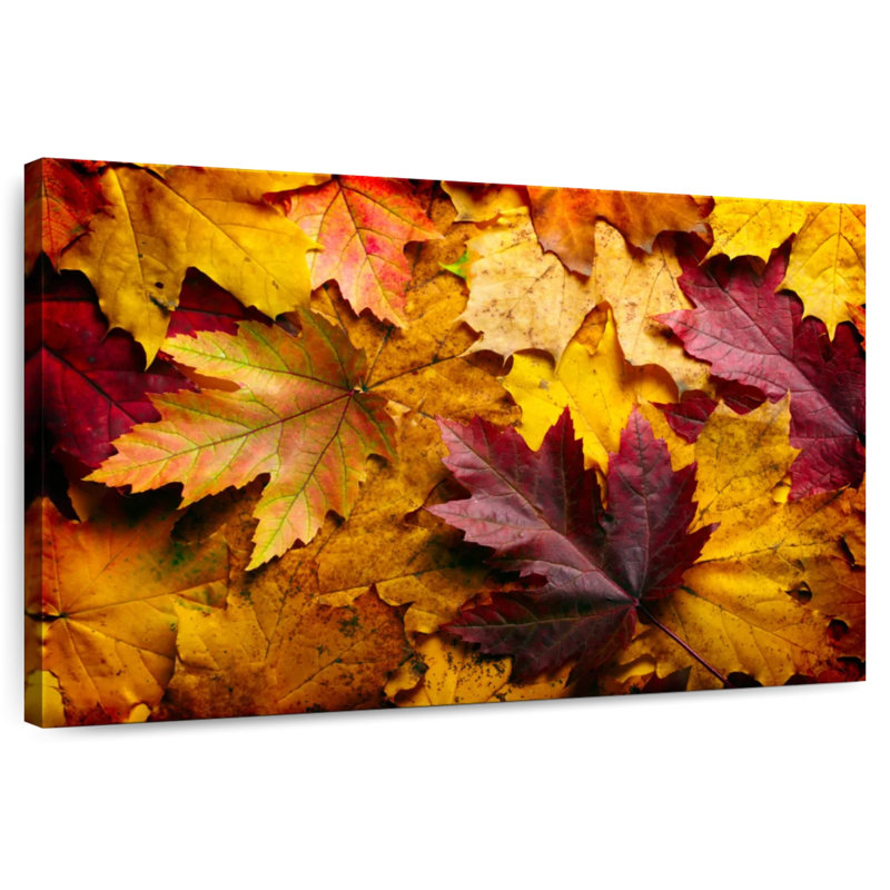 Alvord Fall Leaves, 16" H x 24" W