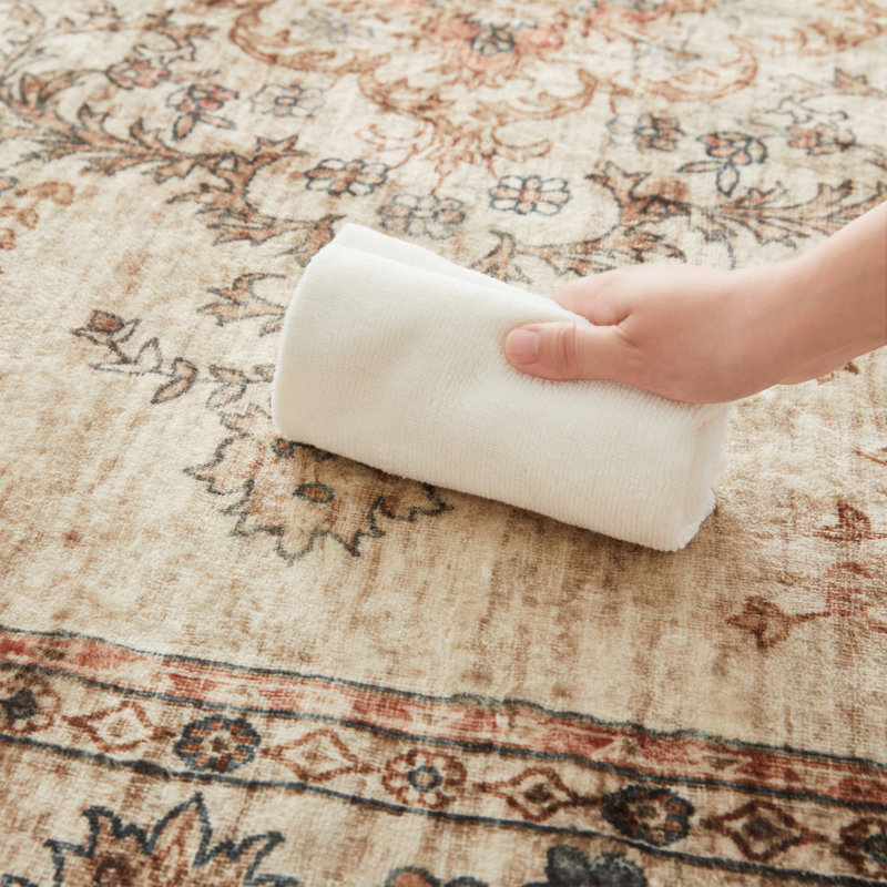 Calletano Oriental Area Rug, Rectangle 40 x 60cm