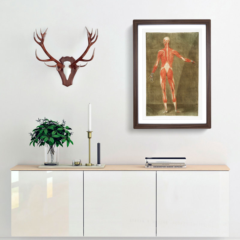 Anatomical Illustration of a Male No. 5 by Gautier-Dagoty - Picture Frame Painting Print, 36cm H x 27cm W x 2cm D