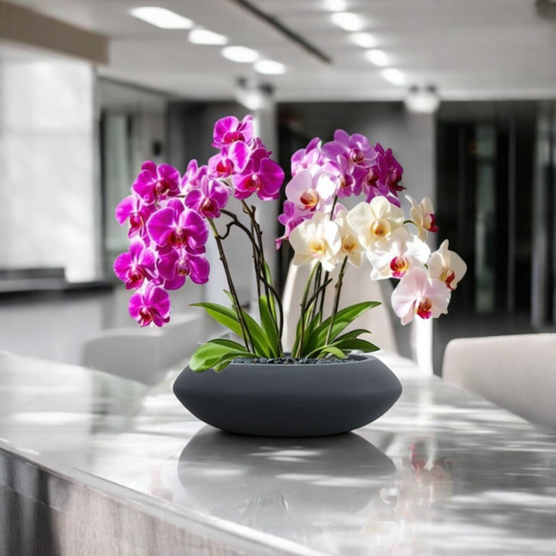 Deberry Handmade Pot Planter, Matte Black
