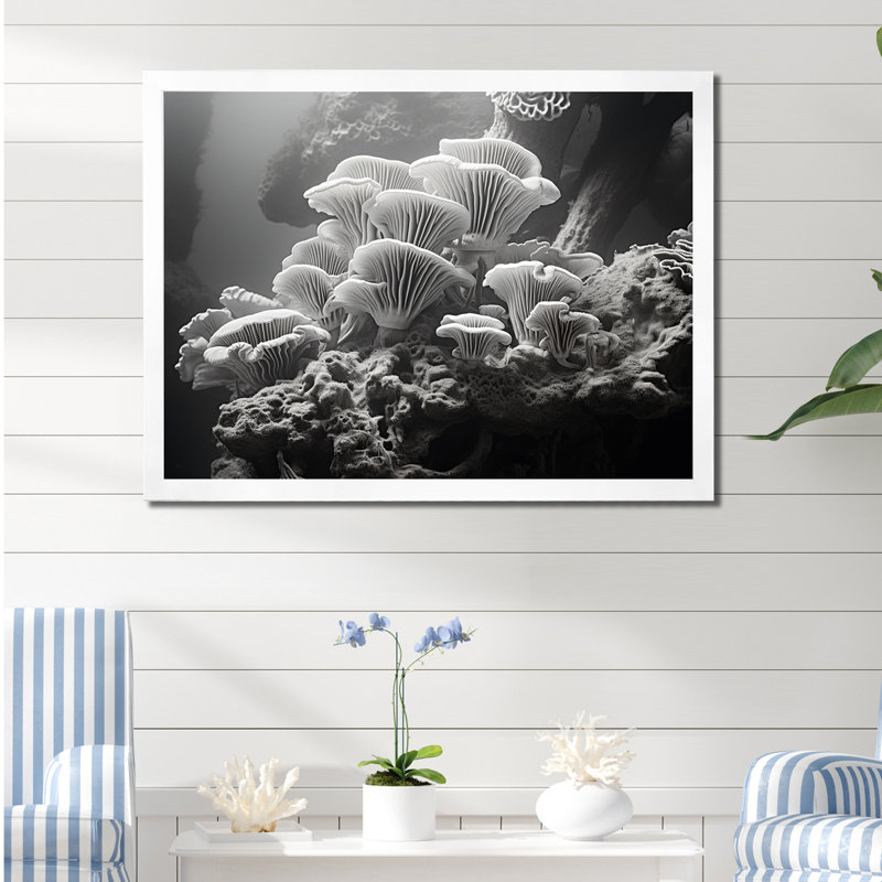 Anémone noire et blanche I sur toile, Cadre photo blanc, H 34 po x l 44 po x P 1,5 po