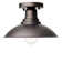 Ceiling Light Fixture