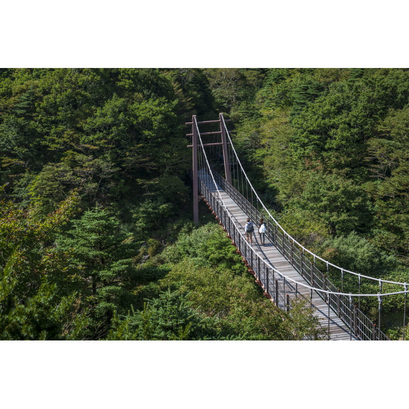 Hiking Gwaneumsa Trail by Joel Carillet - Wrapped Canvas Print, 81cm H x 122cm W