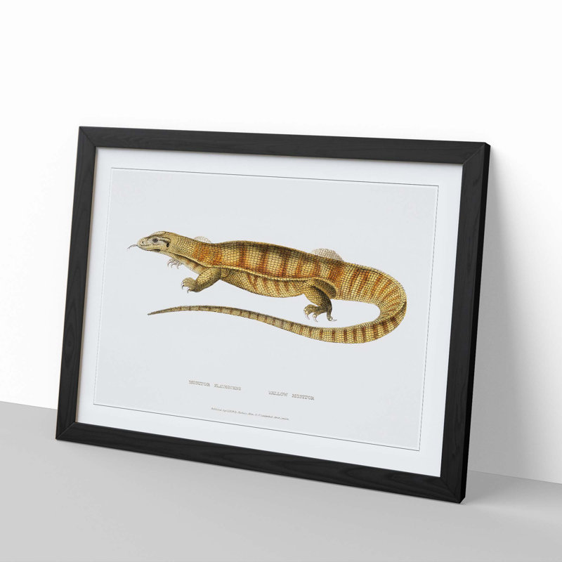 Yellow Monitor Lizard by John Edward Gray - Picture Frame Painting Print, 36cm H x 48cm W x 2cm D, Black Framed