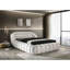 Modern Contemporary Style Chenille Fabric Tufted 1pc Bed Bedroom-1748444961-1748444964