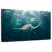 Brampt Red Sea Green Turtle-106801744