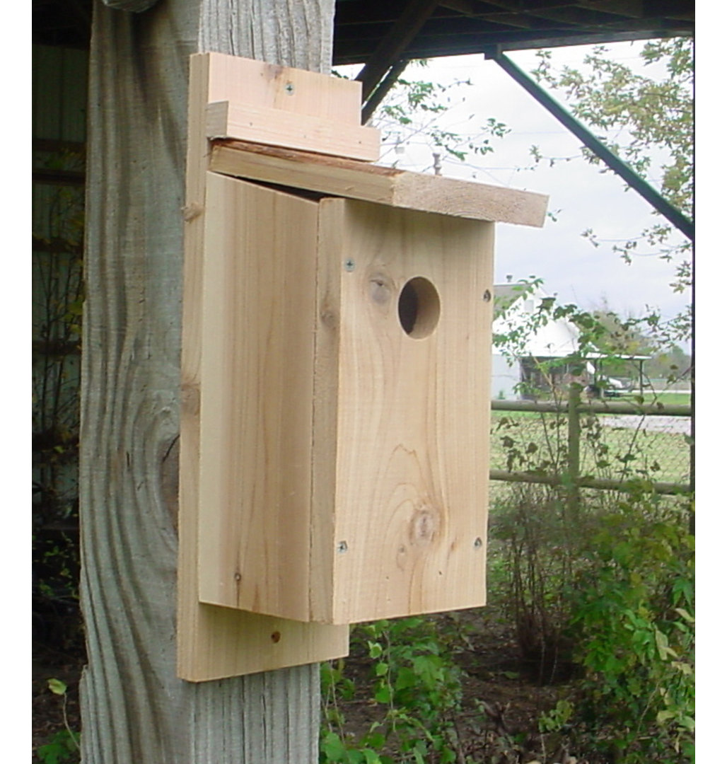 Huldah Cedar Bluebird House Union Rustic