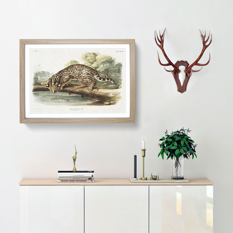 Leopard-Cat by J.W. Audubon - Picture Frame Painting Print, Oak Framed, 48cm H x 65cm W x 2cm D