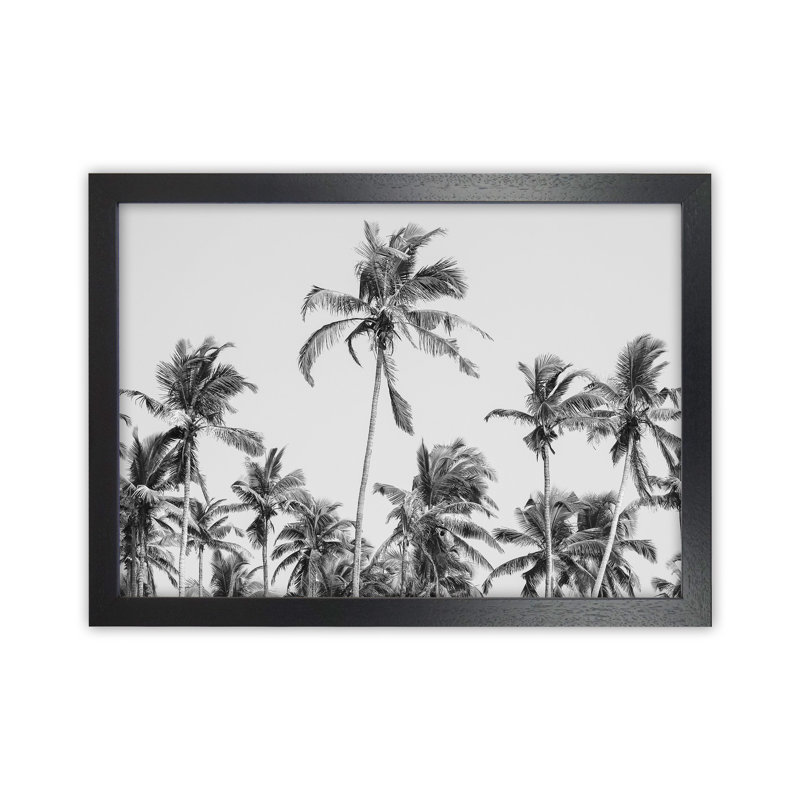 Palm Trees On The Beach II by Victoria Frost - Print, 34cm H x 46cm W x 3cm D, Black Framed