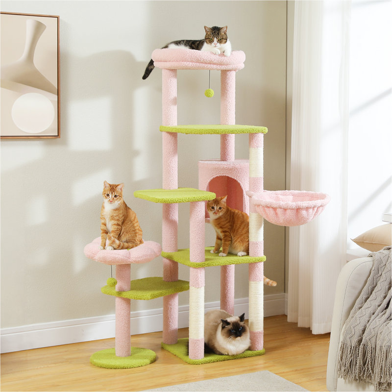 Emmariah 59'' H Cat Tree