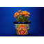Pot à fleurs en céramique Talavera