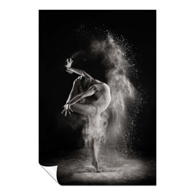 Graceful Ballerina Performance in Light and Shade 1 Piece Wall Art