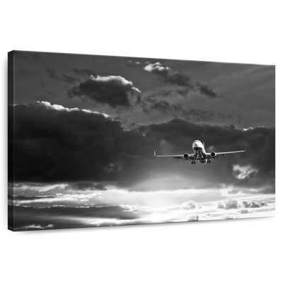Mehar Monochrome Sunset Airplane