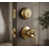 Brass selected