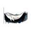 Baleine II - impression-52990602-52990606-52990603