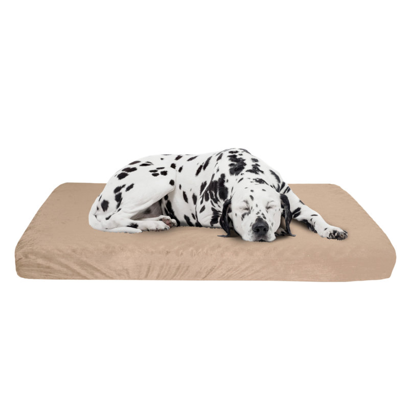 Extra Large Beige Orthopedic Memory Foam Dog Bed