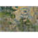 Premium Machine Washable Cerrito AMF555 Taupe Rug