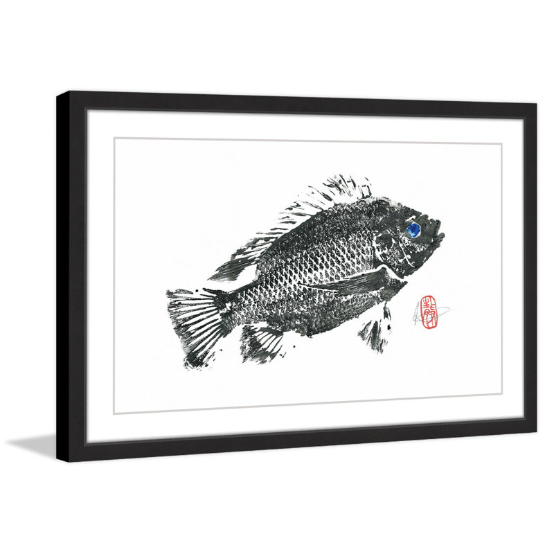 « medium tilapia », reproduction d’art encadrée, H 20 po x l 30 po x P 1,5 po