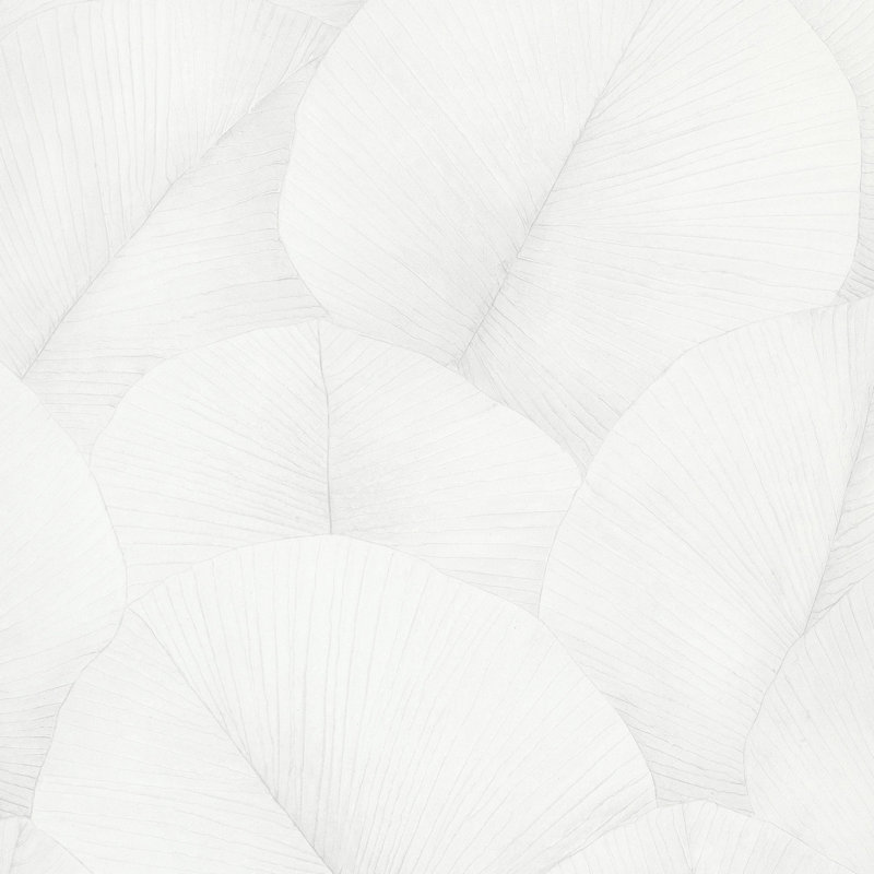 Rouleau de papier peint Kumano, Blanc / Blanc
